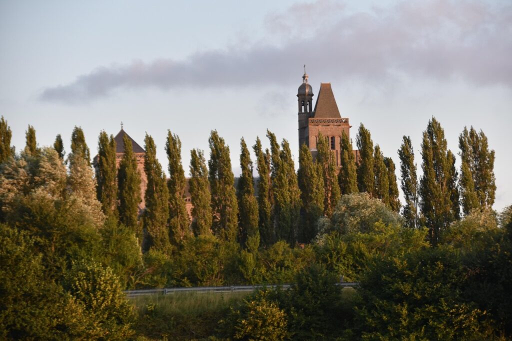 Photo cathédrale de Dol derrière les arbres